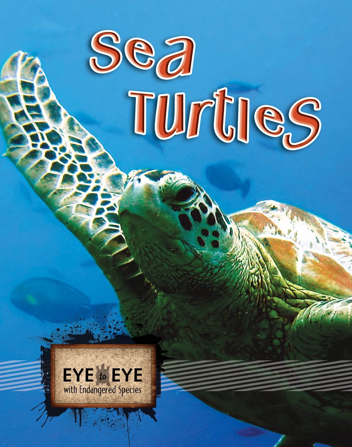 Sea Turtles (Eye to Eye With Endangered Species)