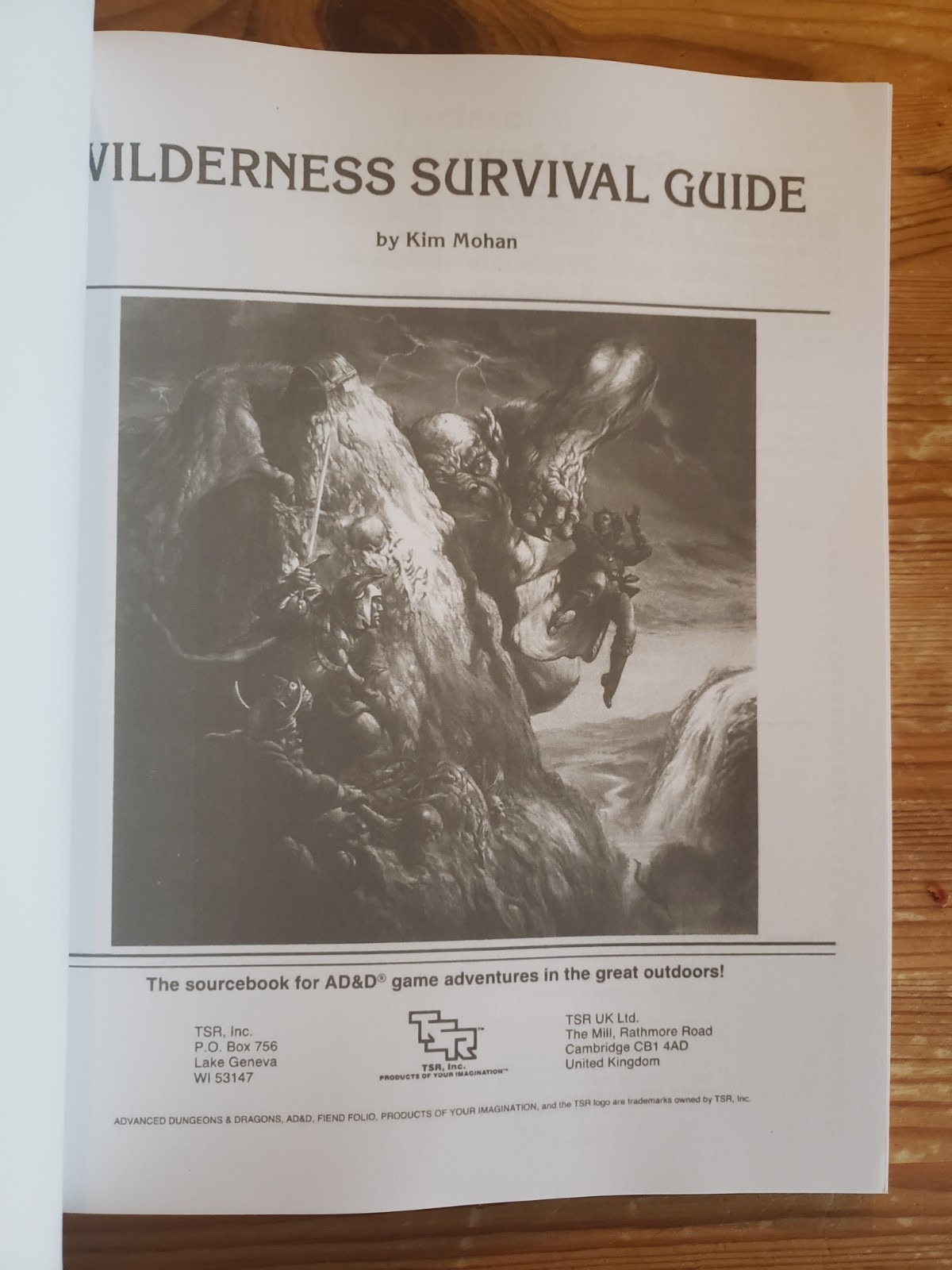 AD&D Survival Guide Bundle — (D&D, lot of 4 books, POD, Softcover, VF/NM)